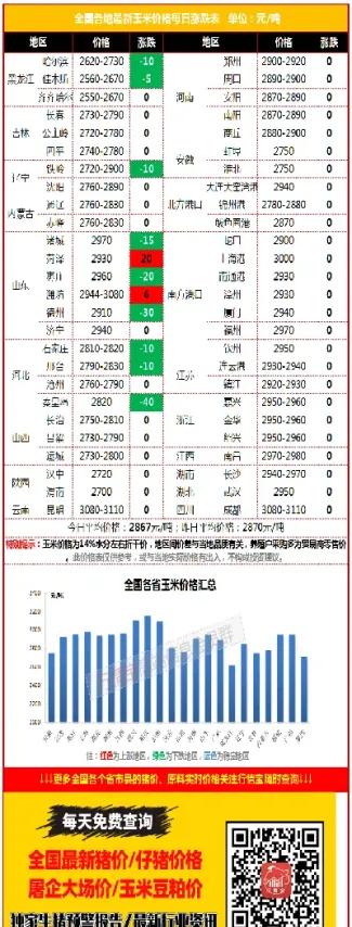 玉米期货震荡调整(玉米期货短期震荡)