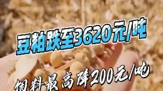 豆粕期货实物交割(豆粕期货实物交割怎么交易)