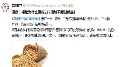 豆粕期货有美金盘吗(豆粕期货美盘看哪个月份)