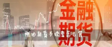 期货手续费高怎么说(国投安信期货手续费高么)