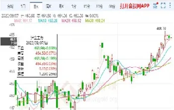 上海黄金期货早盘盘整(上海黄金期货的价格)