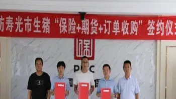 订单加保险加期货(订单加保险加期权)
