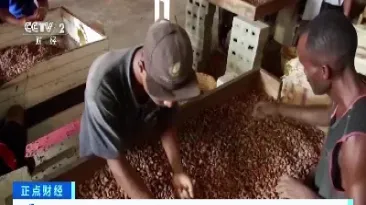 美国可可期货走势如何(美国可可期货行情)