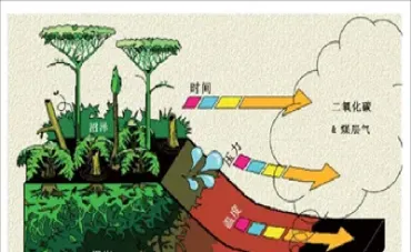 煤炭期货做多的具体步骤(煤炭期货怎么做)_期货交易所_第1张_宇龙理财网 煤炭期货做多的具体步骤(煤炭期货怎么做)_https://www.dglong8.com_期货交易所_第1张
