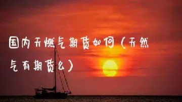 国内天然气在期货里叫什么行业(天然气期货在哪里交易)