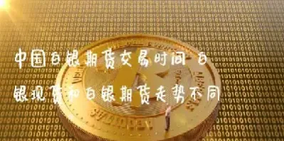 白银td和白银期货区别(白银td和期货)