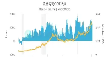 全球黄金期货有那几个(全球黄金期货有那几个品种)