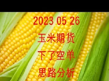玉米期货最多多少手(玉米期货多少吨一手)