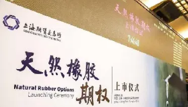 上海天然橡胶期货跌停(上海天然橡胶期货价格最新走势图)