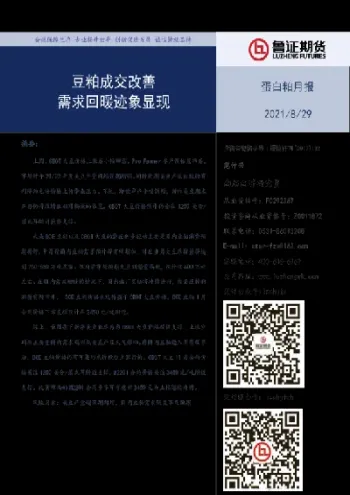 鲁证期货提醒账户休眠(鲁证期货资金账户查询)