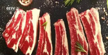 猪肉期货在哪看(猪肉期货的代码是什么)