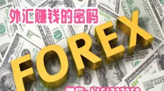 外汇期货和股票哪个更适合投资理财(期货外汇股票相比哪个更好)