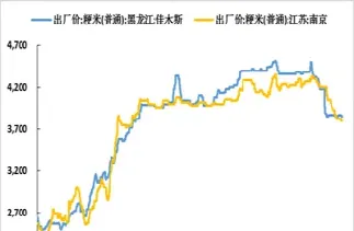 期货大米最近行情(大米期货最新行情)