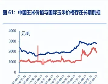 国际玉米期货规格(国际玉米期货规格是多少)_期货品种_第1张_宇龙理财网 国际玉米期货规格(国际玉米期货规格是多少)_https://www.dglong8.com_期货品种_第1张
