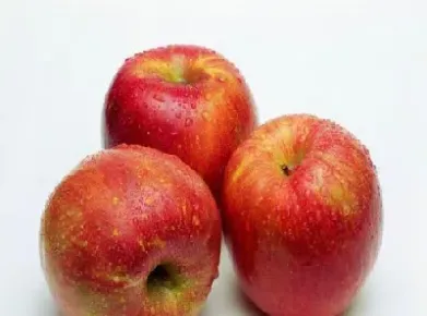 期货里面的苹果是哪种(期货里面的苹果是哪种苹果)