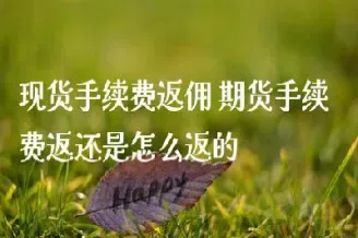 期货返佣返到哪里(期货返佣金什么意思)