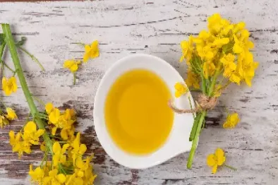 菜籽油期货特点(菜籽油期货价格行情最新价格)