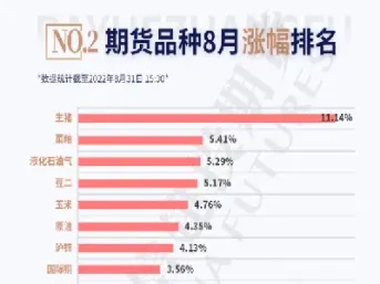 期货使用率多少(期货使用率超过100是什么意思)