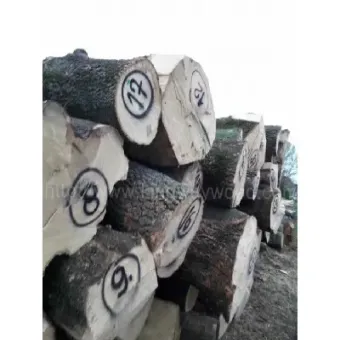 金威木业白橡原木期货(金威木业白橡原木期货走势)