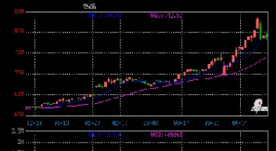 黄金期货实时行情在哪里看(黄金期货实时行情在哪里看的)