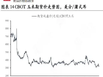 美玉米期货走势(美玉米期货走势分析图)