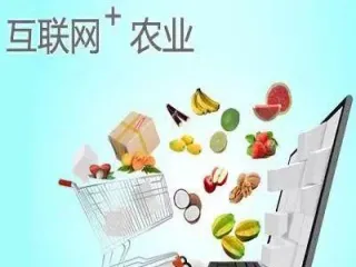 农产品期货的类型(农产品期货基础知识)