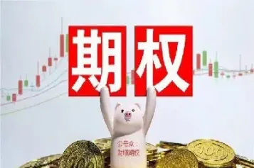 股指期权与股票期权的区别(股指期权与股票期权的区别和联系)