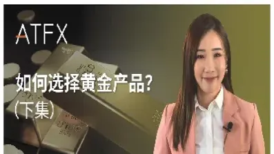 外汇黄金金融投资(投资黄金外汇的好处)
