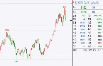 棕榈油期货cfd(棕榈油期货价格行情最新价格)