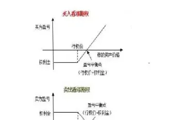 看跌期权购买者的受益(看跌期权购买者的收益)