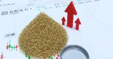 豆粕价格怎么查询(豆粕价格今日行情)
