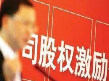 股权激励股票期权(股权激励股票期权行权价格)