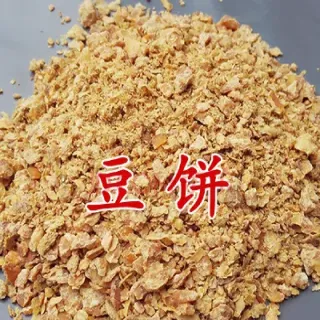 豆粕和豆油为什么反方向(豆粕和菜油的关系)
