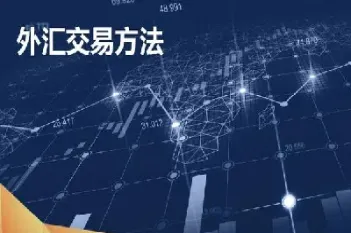 外汇看跌期权买卖双方(美元外汇看跌期权购买条件)
