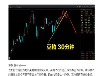 豆粕下周最新行情分析(豆粕最新行情分析)