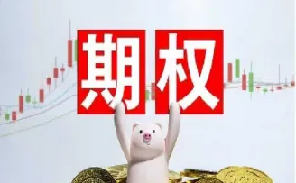 期权是什么意思它的作用是什么(期权是什么意思的详细介绍)