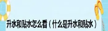 期货的贴水和升水什么意思(期货升水贴水什么意思)