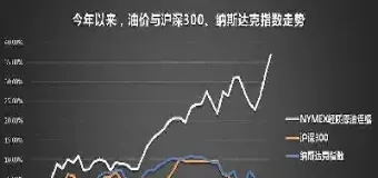 南方原油重仓什么股票(南方原油是什么股票)