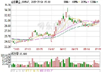 山东黄金股价最高多少(山东黄金今日股价)
