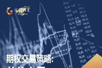 外汇美式期权交割(外汇期权交割规则)