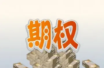 实物期权模型估值计算(实物期权价值计算)
