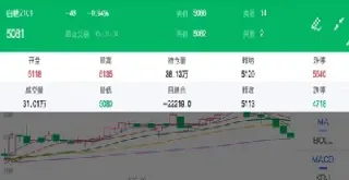 白糖价格行情今日报价期货(白糖期货价格行情)