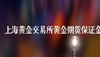 上海黄金交易所定位(上海黄金交易所td)