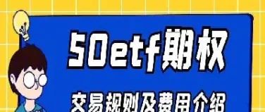 股票期权交易有哪些规定(股票期权交易权限几级)