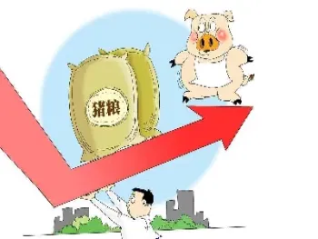 生猪期货今日行情大盘走势(生猪期货今日行情大盘走势图)
