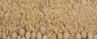 豆粕期货是跟着大豆走吗(豆粕期货跟随美豆期货吗)