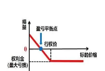 欧式期权只能在什么时候执行(欧式期权有哪些品种)