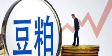 期货大豆k线怎么看(豆油期货怎么看k线)
