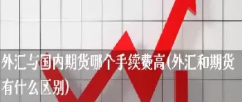 什么叫外汇期货(外汇期货又叫什么)