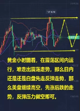 今日黄金行情最新分析(今日黄金基金最新行情)